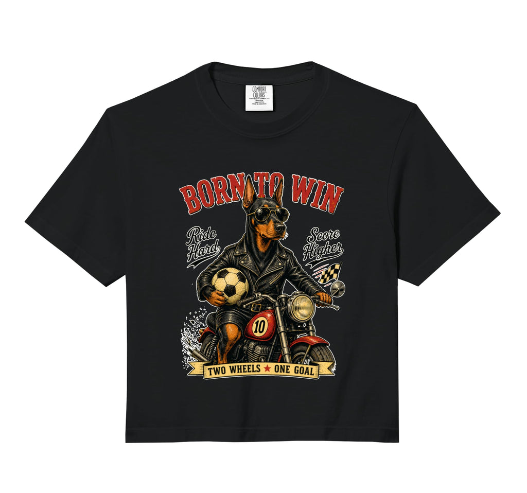 Doberman Pinscher Motorbike Love Footbal Hoodie - Graphic Print Unisex