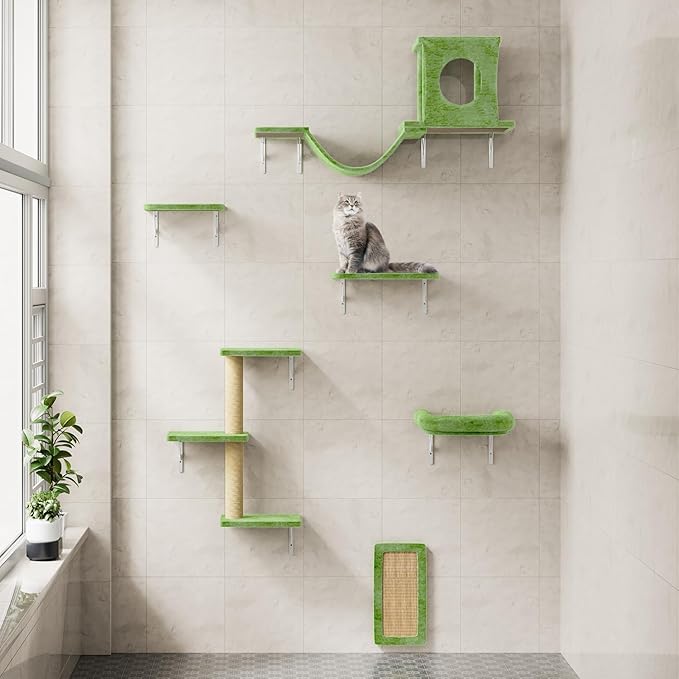 NUNU LAB Wall Mounted Cat Furniture, 6 Pcs Cat Wall Shelves with Condo House, Bridge, Steps, Scratcher, Hammock, Indoor Safe & Stable Furniture for Kittens Play, Green