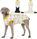 Recovery Suit for Dogs After Surgery, Professional Dog Surgical Suit for Female Spay, Male Neuter, E-Collar & Cone Alternative Dog Onesie for Abdominal Wounds Skin Disease, Yellow, XXL