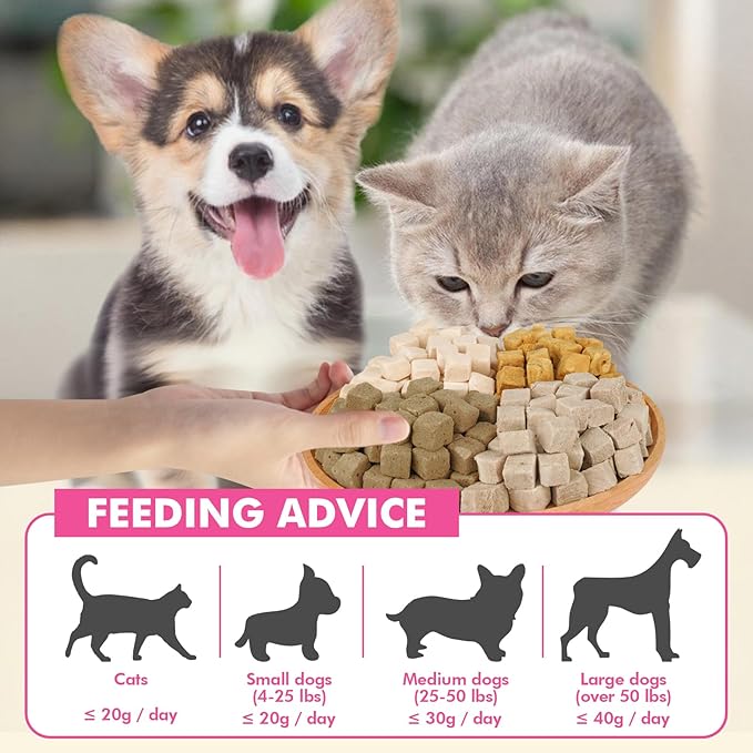 Freeze Dried Cats & Dogs Raw Treats, All Natural Single Ingredient Duck Breast, High Protein Healthy Pet Training Treats or Food Topper, 5.3 oz