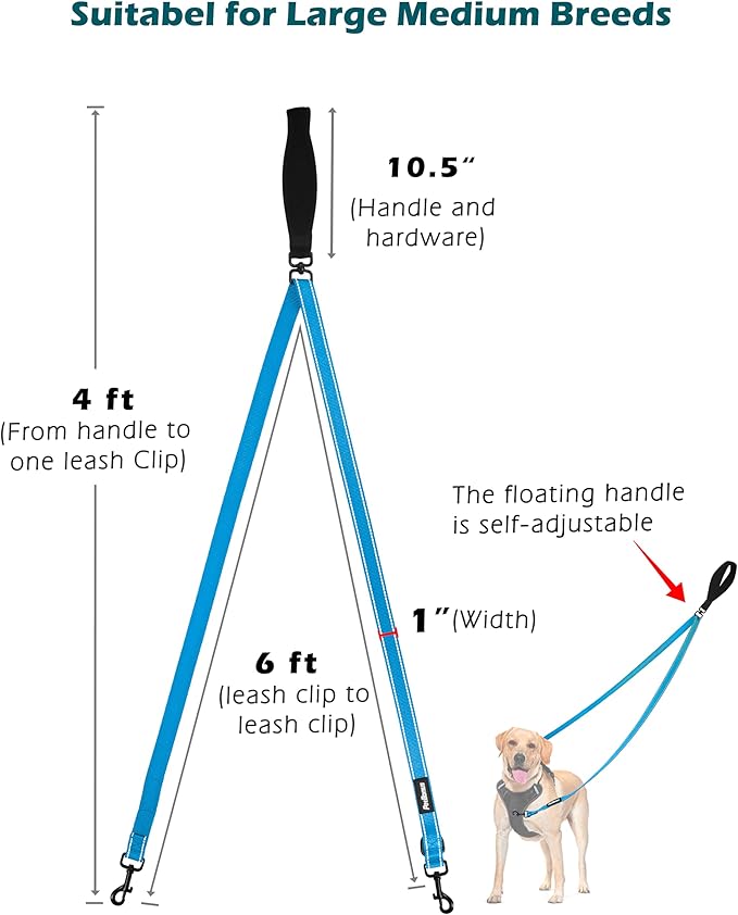 PetBonus Two Point Control Dog Leash, Works with No Pull Harnesses, No Tangle Training Leashes, Soft Padded and Reflective Walking Lead, Converts to Single Lead for Medium Large Dogs (Light Blue)