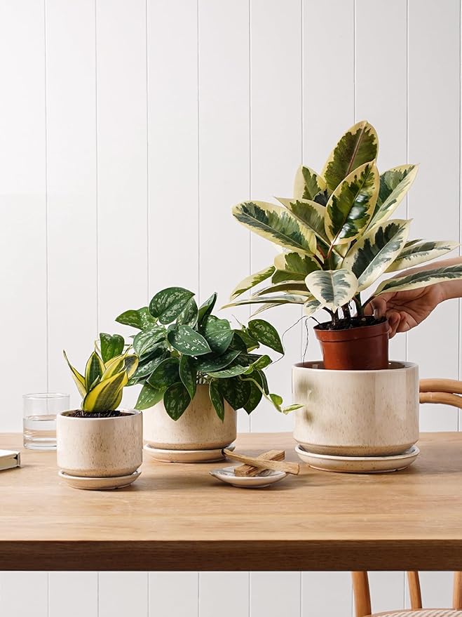 LE TAUCI Ceramic Plant Pots, 4.3+5.3+6.8 inch, Set of 3, Planters with Drainage Hole and Saucer, Indoor Flower Pot with Hole Mesh Pad, Gifts for Mom, Reactive Glaze Beige