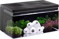 Harmony Aquatic Tank by Clairnara - Harmony Legend - iF Design Award Winning 10 Gallon All-in-One Aquarium