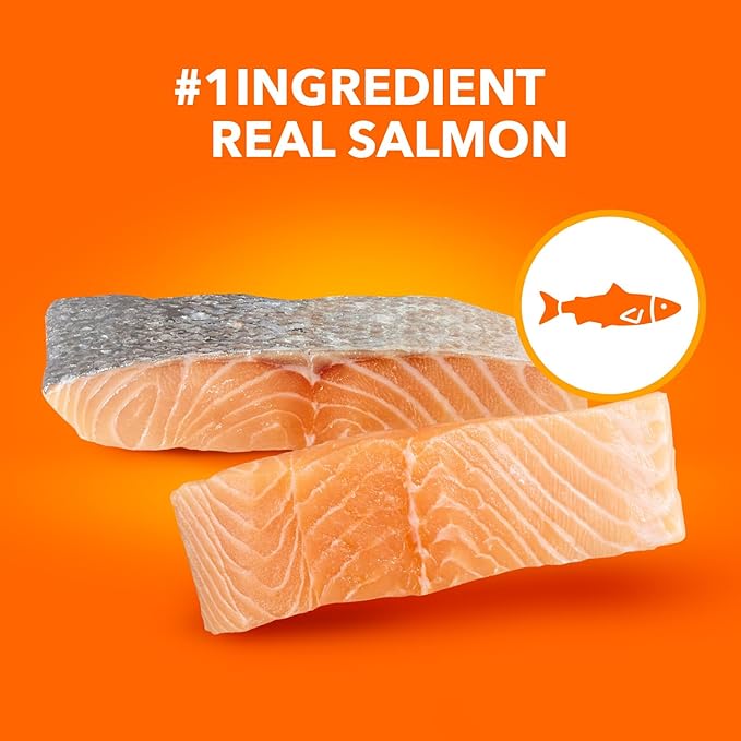 IAMS Proactive Health Adult Healthy Dry Cat Food with Real Salmon, 16 lb. Bag