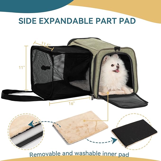 Petsfit Top Load Expandable Dog Carrier for Small Dog, Medium Cat, Or 2 Small Cats with Comfy Pad, Escape Proof, Easy Storage, Washable, Fit for Vet Visit and Outdoor, 19"X12" X12", Green