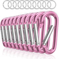 sprookber 3" Aluminum Carabiner D Ring, Caribeener Clips, Spring Snap Hook for Keychain Clip, Set of 10