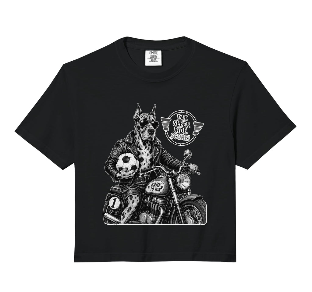 Gordon Setter Motorbike Love Footbal Sweatshirt - Aesthetic Graphic Unisex