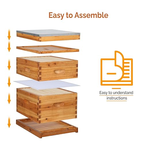 VINGLI 10 Frames Beehive, Complete Beehive Kit Includes 1 Deep Boxes, 1 Medium Box, Frames and Waxed Foundations, for Yard, Field, Bee Farm (2 Layer)