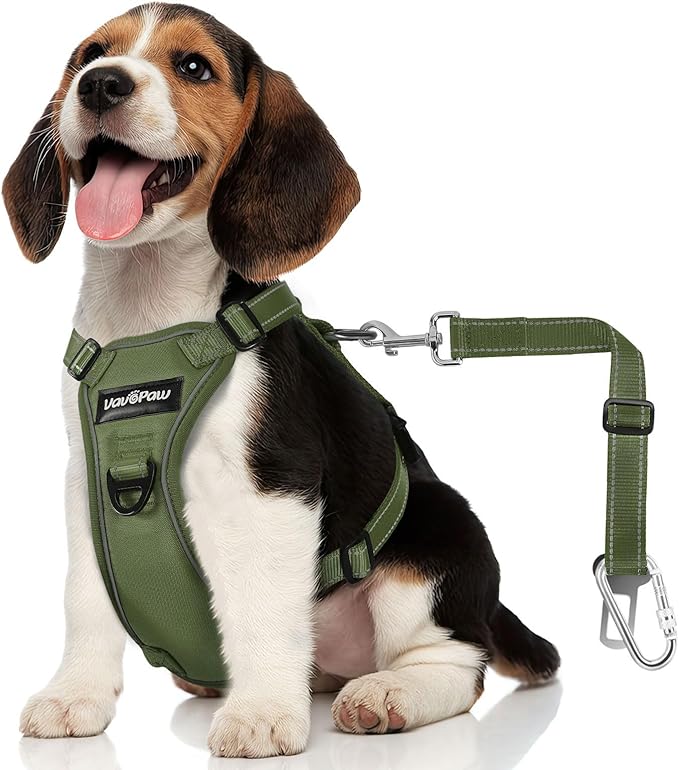 Dog Seat Belt Harness for Car, Dog Car Harness Adjustable Mesh Breathable & Dogs Seatbelt Safety Tether with Elastic Bungee for Small Medium Large Pets(Army Green, M)