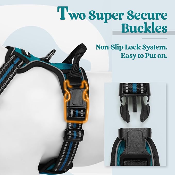 rabbitgoo Dog Harness No Pull with 2 Leash Clips, Adjustable Soft Padded, Reflective Oxford No Choke Pet Vest with Easy Control Handle for Large Dogs, Blue Coral, L
