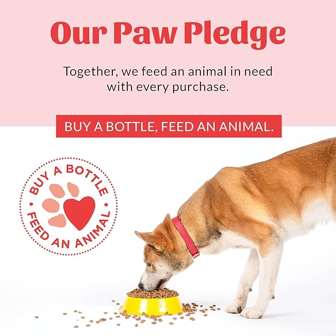 Skout's Honor Pet Detangler Spray - Hydrating & Conditioning with Avocado Oil & Probiotics, 97% Natural, Paraben & Sulfate-Free, softens for a More brushable Coat, Daily Use, 8oz, Lavender
