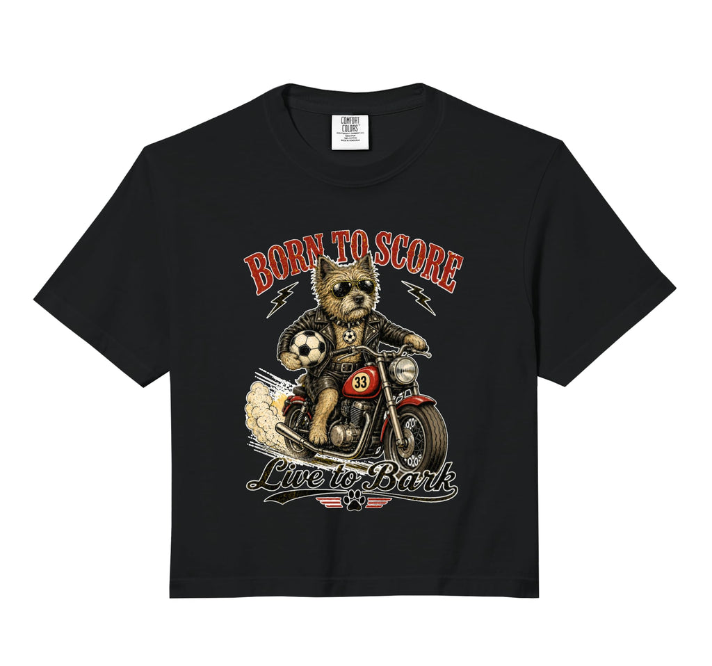 Cairn Terrier Motorbike Love Footbal T-Shirt - Streetwear Style for Adults