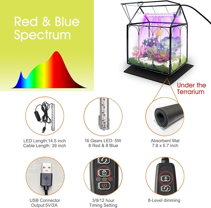 Plant Terrarium Kit with Grow Light, Rifny Large Glass Terrarium Jar with Absorbent Mat and Lid for Venus Fly Trap Succulent Live Air Plants Indoor Home Office Decor (Black, 8.9 x 5.9 x 9.9 inch)