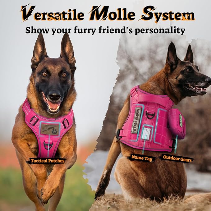 rabbitgoo Dog Harness for Large Dogs No Pull, Tactical Service Pet Vest with Molle and Control Handle, Adjustable and Reflective Military Harness for Easy Walking and Training, Rose Red, L