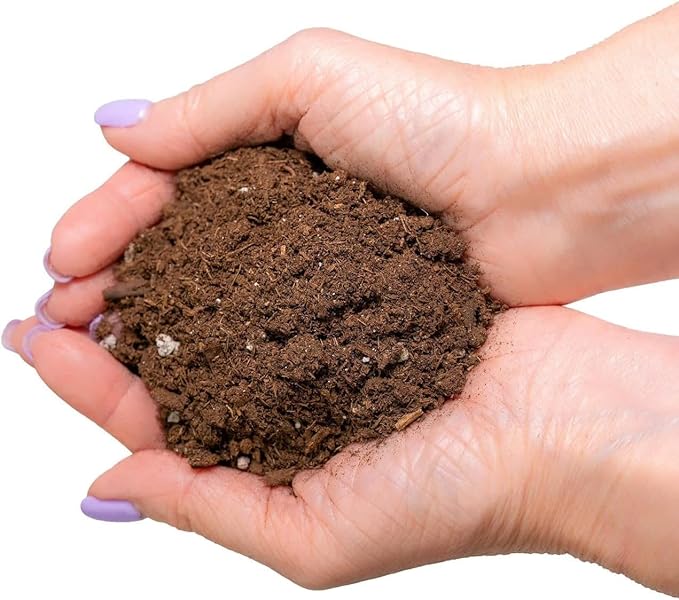 Citrus Tree Potting Soil Mix, Special Blend for Indoor Oranges, Lemons, Limes and More - (5 Quart Bag)