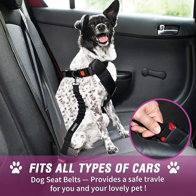 COOYOO Dog Seat Belt,3 Piece Set Retractable Dog Car Adjustable Seatbelts for Vehicle Nylon Pet Safety Heavy Duty & Elastic & Durable Car Harness for Dogs