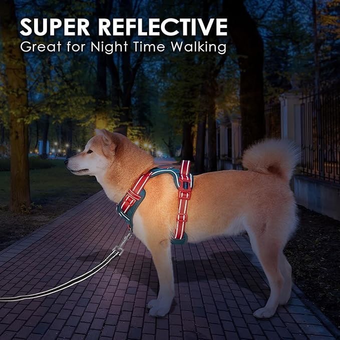 PHOEPET No Pull Dog Harness, Unique Colors Reflective Adjustable Dog Vest, with Soft Training Handle Metal Clips for Small Medium Large Dogs (Teal Base & Red Straps,M)