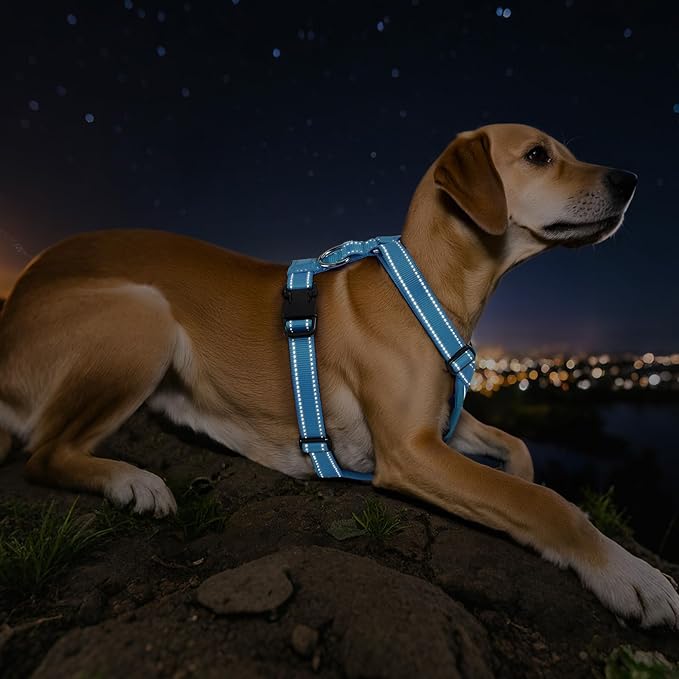 Dog Seat Belt Harness for Car, Dog Car Harness Adjustable Mesh Breathable & Dogs Seatbelt Safety Tether with Elastic Bungee for Small Medium Large Pets(Blue, XL)