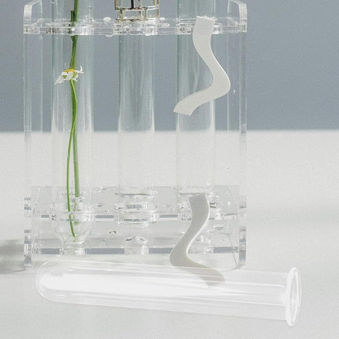 Alipis 4pcs Glass Propagation Stations Accessories Glass Test Tubes Tiered Planters Wall Terrarium for Home Office Plant Hanger Flower Vases Wall Decor Hydroponic Cuttings