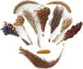 Natural Hamster Bedding - Flowers, Herbs, Sprays, Treat Cereal Grain for Cage Habitat Enclosure Decor - Hamster Chews for Dwarf Syrian Gerbils, Mice, Rat Forage - Pet Accessories