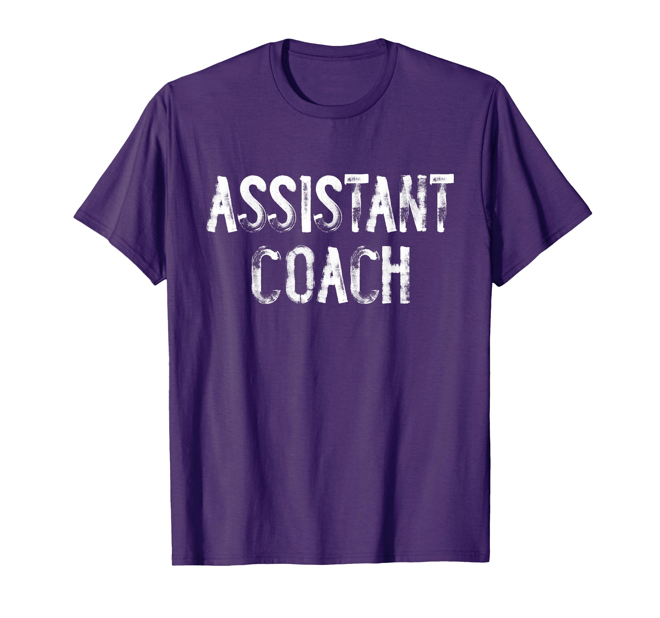 Assistant Coach Typography Hoodie - Aesthetic Graphic Unisex