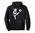 Paraguayn Football Player Paraguay Hoodie - Minimalist Print Men Women