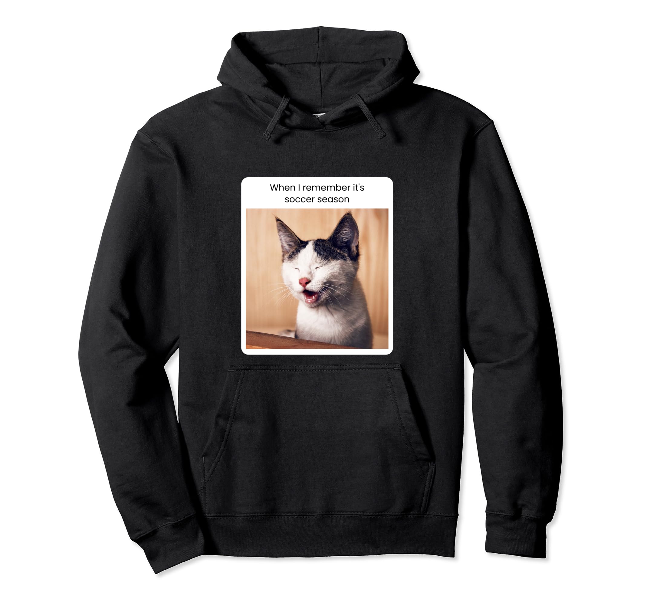 Funny Cat Meme When I Remember Its Hoodie - Novelty Apparel for Adults