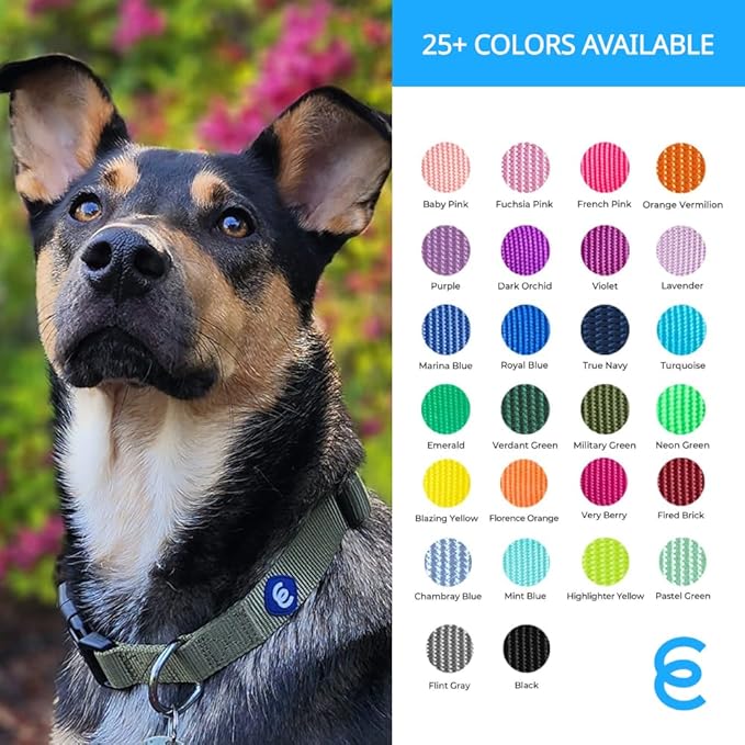 Blueberry Pet Essentials Medium Dog Collar in True Navy | Adjustable & Eco-Friendly Durable Nylon Strap | Classic Collar for Medium Dogs, Boy & Girl Pets