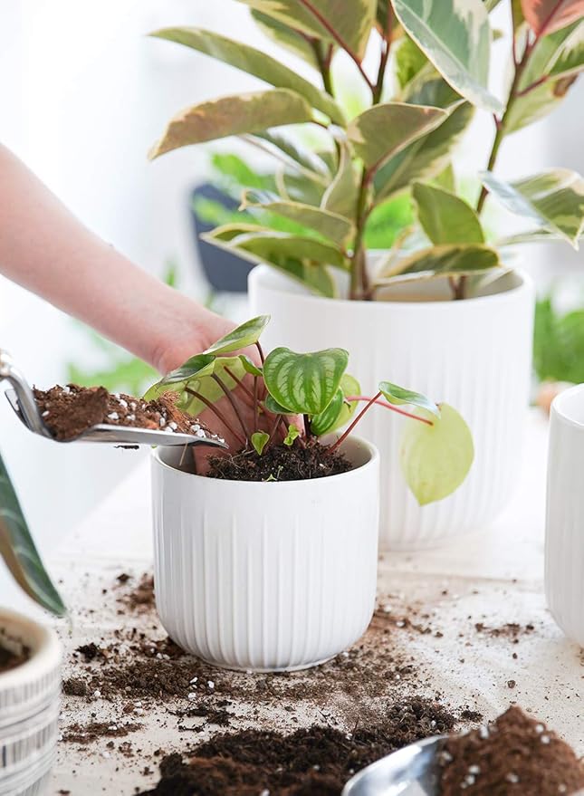 LE TAUCI Ceramic Planters, Set of 3 Plant Pots for Indoor Plants, 8.3+6.9+5.7 inch Flower Pots with Drainage Holes, Medium Cylinder Planters Pot for Indoor House Plants, White