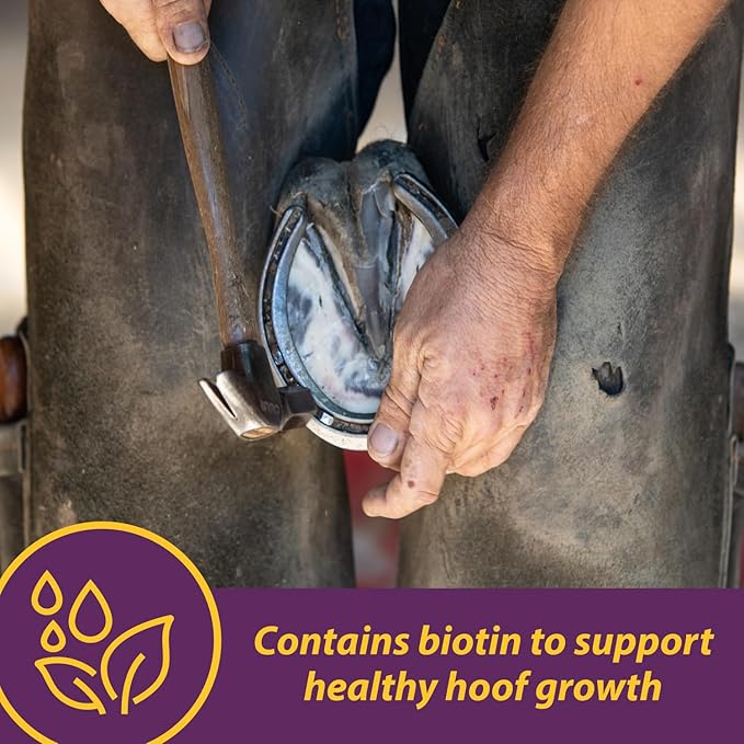 Horse Health Vita Biotin Crumbles horse hoof Supplement, Helps maintain healthy, sound hooves and strong hoof walls, 3 lbs., 48 day supply
