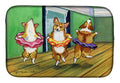 Little Ballerina Corgi Dish Drying Mat Absorbent Dish Drying Mat Pad for Kitchen Counter Dish Drainer Mat for Countertop, 14 x 21", Multicolor