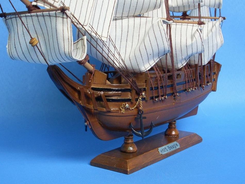 Wooden Charles Darwin's HMS Beagle Model Ship 14""