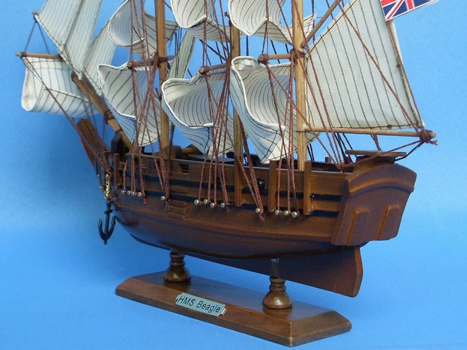 Wooden Charles Darwin's HMS Beagle Model Ship 14""