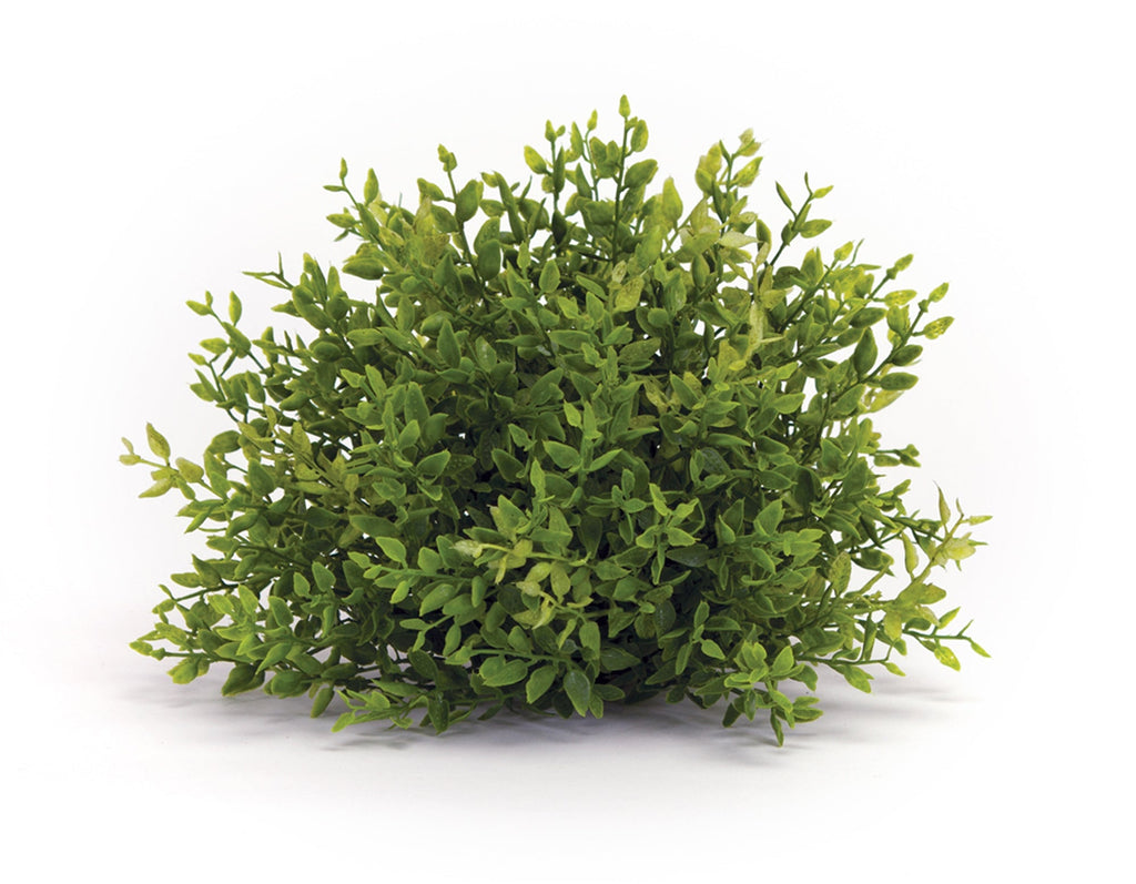 Spring Mini Leaf Foliage Half Orb (Set of 6)