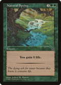 Natural Spring (P02-134) - Portal Second Age