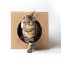 📦🐱 Hide & Sneak Cat Tunnel – Eco-Friendly Crinkle Paper Hideaway