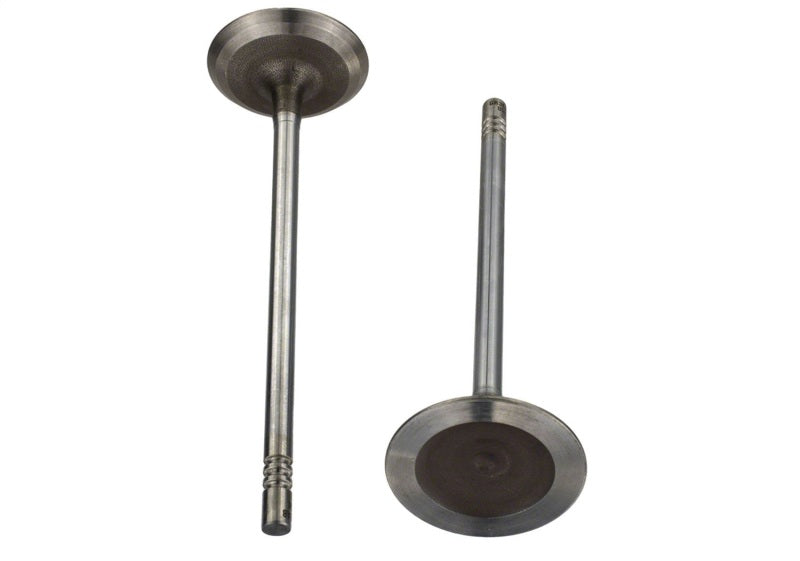 Ford Racing Coyote 5.2L Lightweight Intake Valve - Set of 8 M-6507-M52