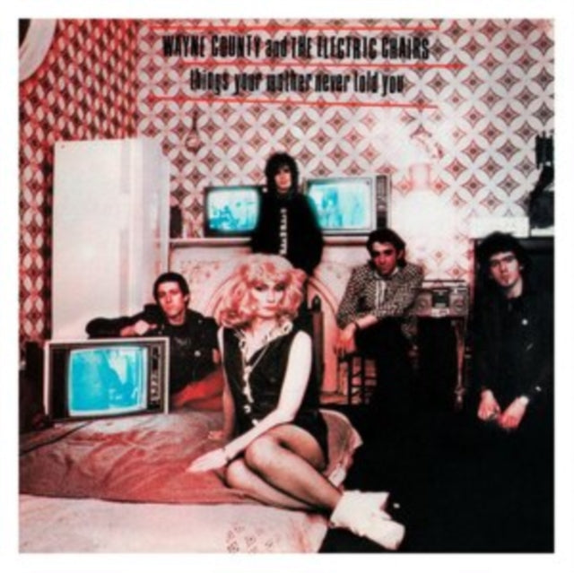Wayne & The Electric Chairs County - Storm The Gates Of Heaven & Things Your Mother Never Told You - LP Vinyl Bundle