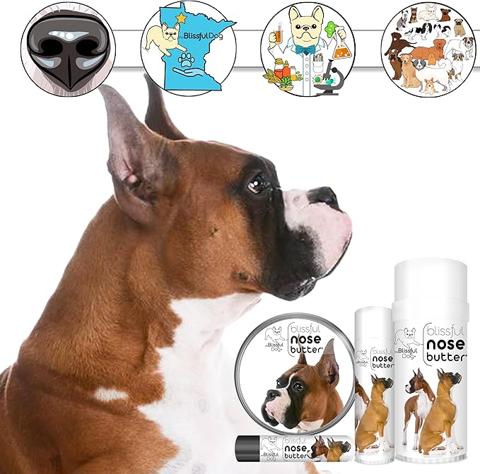 The Blissful Dog Show Boxer Nose Butter for Dry, Cracked Skin, Lick-Safe Dog Nose Balm with Moisturizing Shea Butter, Almond, Olive, and Essential Oils, Pet Supplies, Uncented, 0.15 oz.