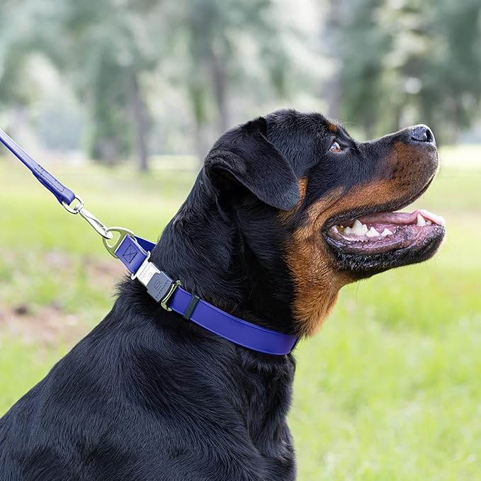 Dogline Biothane Waterproof Dog Collar with Herm Sprenger Stainless Steel Quick Release Buckle – Heavy Duty Tactical Durable Collar for Dogs – Comfortable and Safe Pet Collar W 3/4" L 12-19" Blueberry