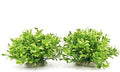 BEGONDIS Aquarium Decorations Fish Tank Artificial Green Water Plants Made of Soft Plastic, Safe for All Fish & Pets (Style-3)
