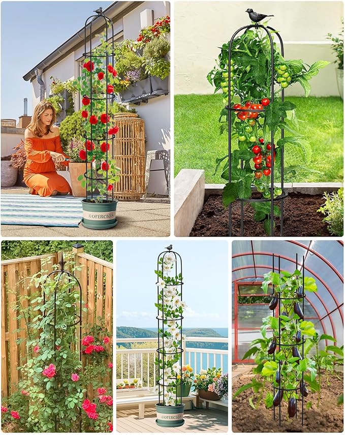 Garden Obelisk Trellis for Climbing Plants Outdoor 6.2 Ft Rose Bush Round Trellis for Pots Rustproof Metal Plant Flower Trellises for Clematis Vine Jasmine Support Outdoor Indoor (Black, 6.2ft)