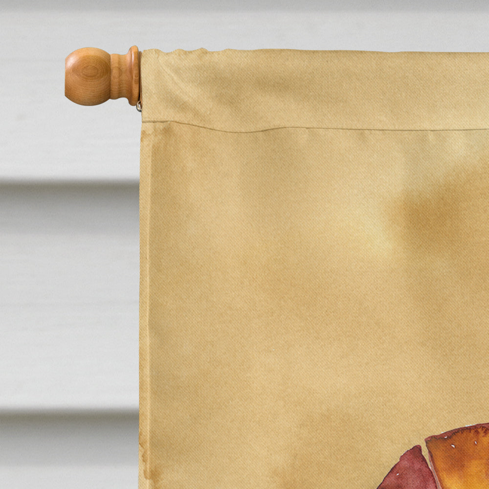 Shrimp Sandy Beach House Flag 28x40 Porch Sleeve Pole Decorative Outside Yard Banner Artwork Wall Hanging, Polyester