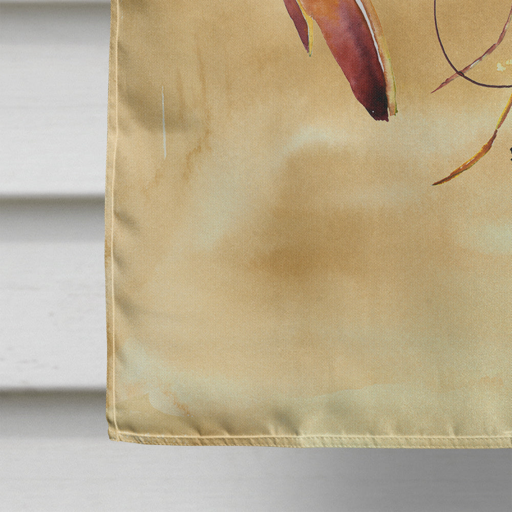 Shrimp Sandy Beach House Flag 28x40 Porch Sleeve Pole Decorative Outside Yard Banner Artwork Wall Hanging, Polyester