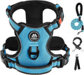 IVY&LANE No Pull Dog Harness for Medium Dogs, Dog Vest Harness with Leash, Safety Belt and Storage Strap, Fully Adjustable, 360 Reflective Strip, Soft Handle (Blue, M)