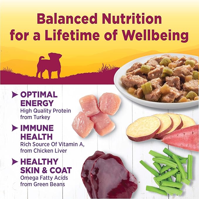 Wellness Petite Entrées Mini-Filets with Tender Turkey, Green Beans & White Sweet Potatoes in Gravy, 3-Ounce Cup (Pack of 12)