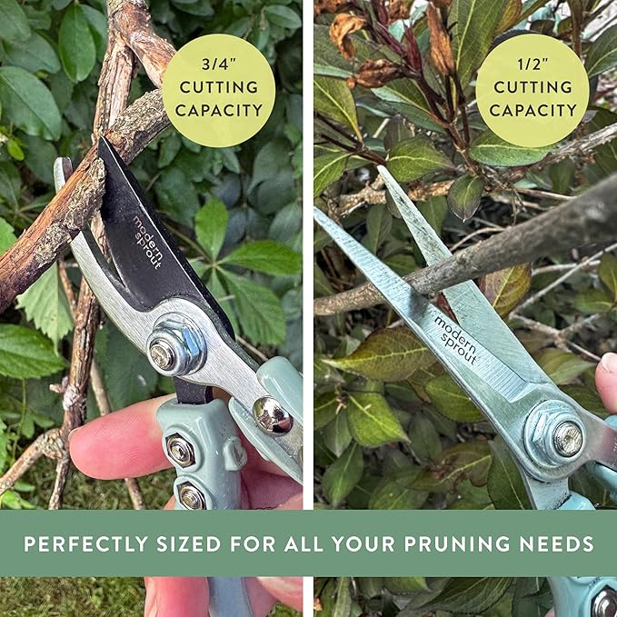 Modern Sprout Hand Pruners & Shears Set - Lightweight Gardening Tools W/Easy Lock - Sharp Carbon Steel Blades -Rust Resistant Scissors for Herbs, Flowers - Reusable Holster - Lavender