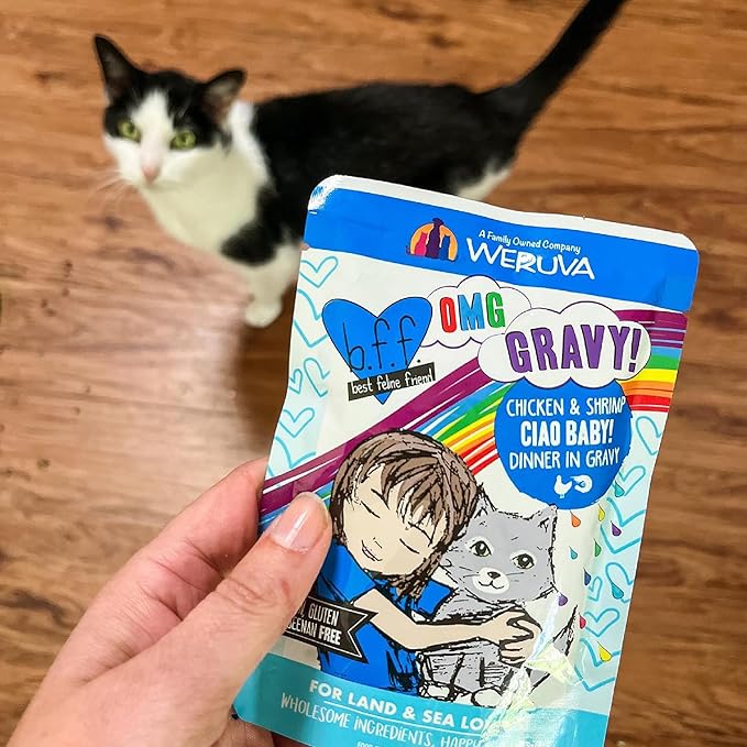 Weruva B.F.F. OMG - Best Feline Friend Oh My Gravy!, Chicken & Turkey Text Me with Chicken & Turkey in Gravy, 2.8oz Pouch (Pack of 12)