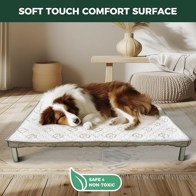 FXW TitanNest Chew-Proof Elevated Dog Bed, Raised Cot for Indoor/Outdoor/Camping Use, Durable & Washable Padded Pet Bed with Exclusive Reuseable Cover for Small Dogs, 36.0" L x 24.0" W x 4.5" H, Gray