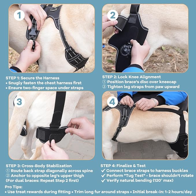 Dog Knee Brace with Adjustable Support – ACL & CCL Tear Recovery, Post-Surgery Stabilization, Mobility Aid for Rear Legs – Includes Secure Chest Harness for Dogs(Right,L)